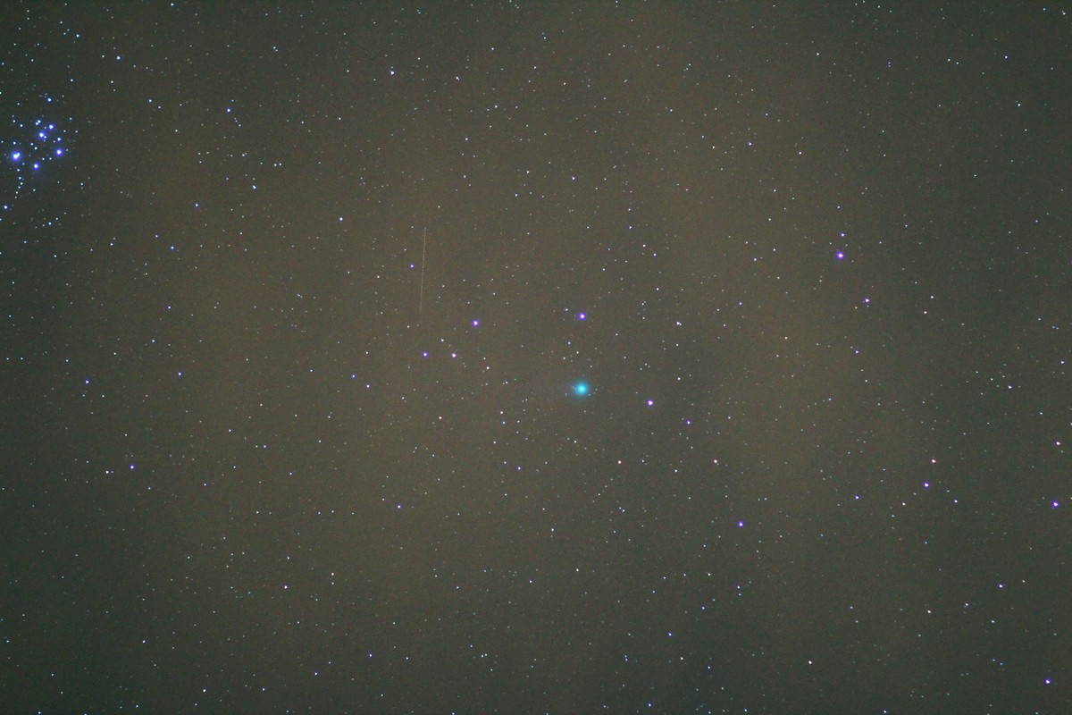 C2014Q2-LOVEJOY