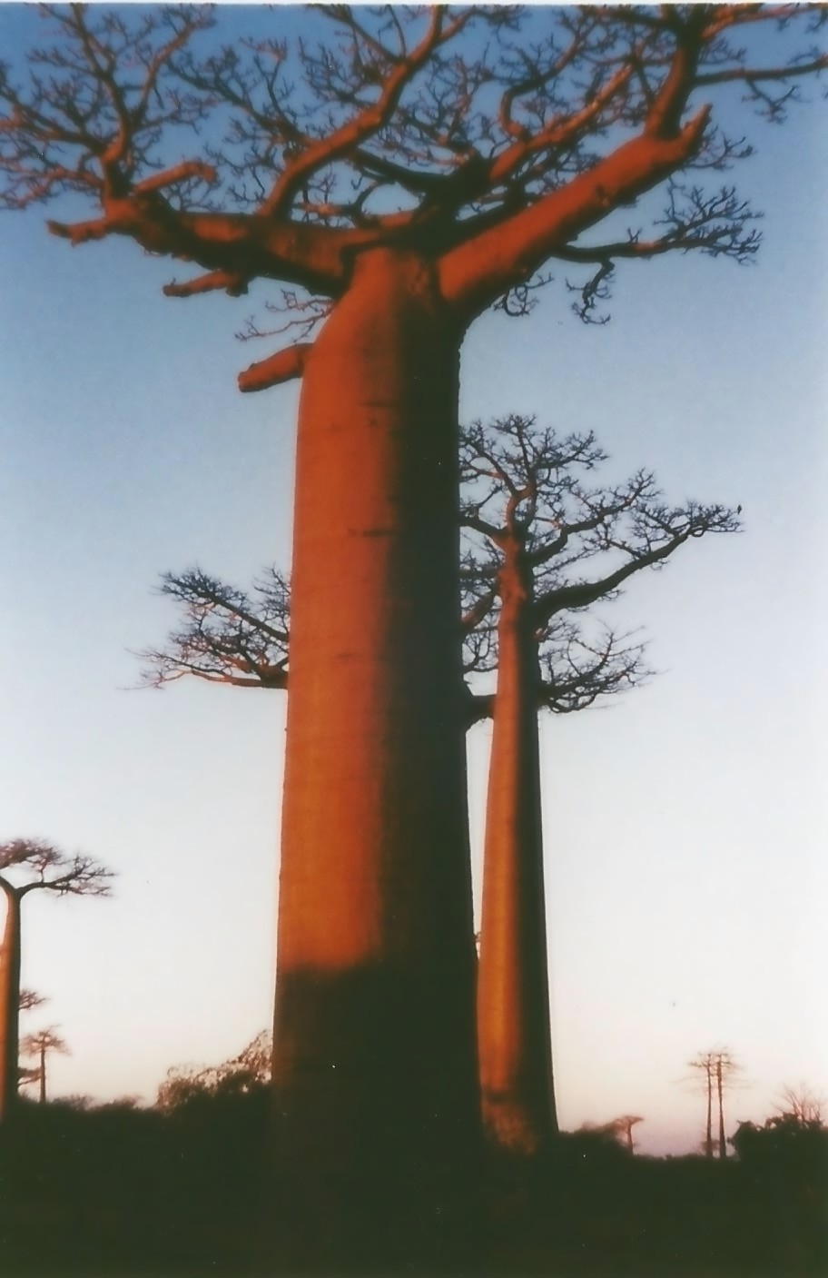 Madagascar